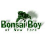 Bonsai Boy 